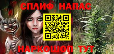 PSILOCYBIN Кингисепп