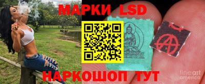 PSILOCYBIN Кингисепп