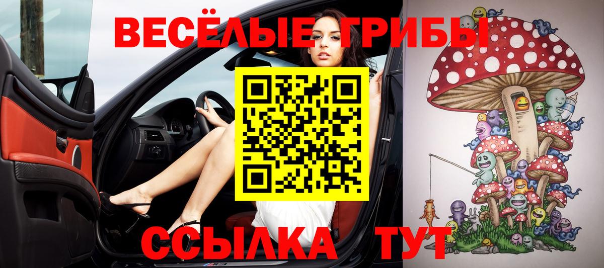 Галлюциногенные грибы Psilocybe  Псилоцибиновые грибы MAGIC MUSHROOMS  Сокол  наркотики  Вход с VPN 
