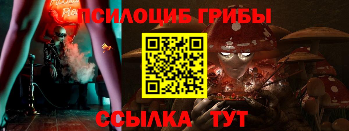 Галлюциногенные грибы ЛСД Сокол