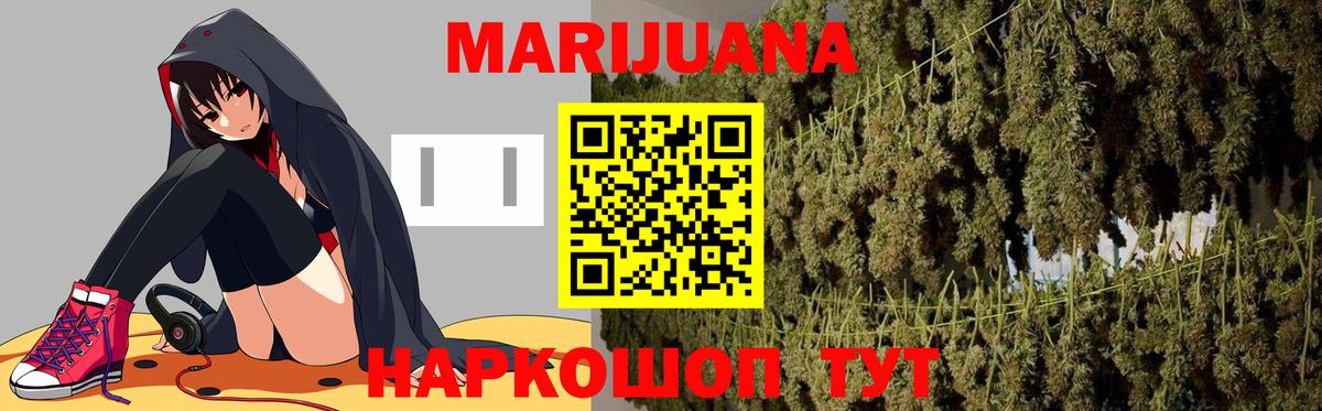 Конопля Bruce Banner Сокол